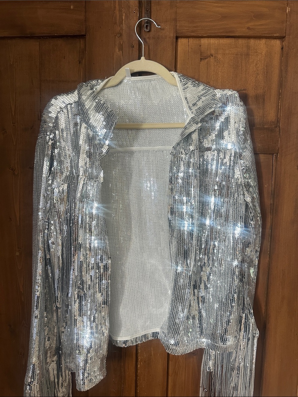 Source Unknown Silver Sequin Fringe Blazer Jacket